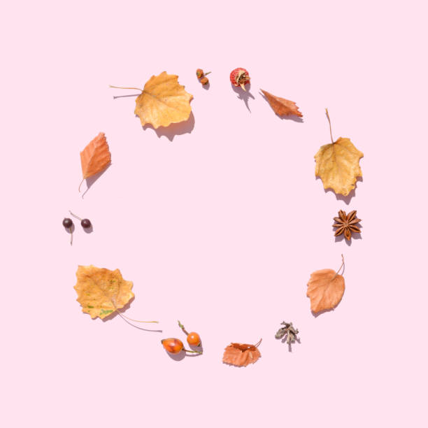istock Autumn decoration arranged in a circle. 2171531906
