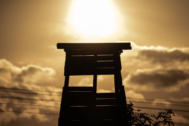 Hunting stand and sunset, hunting