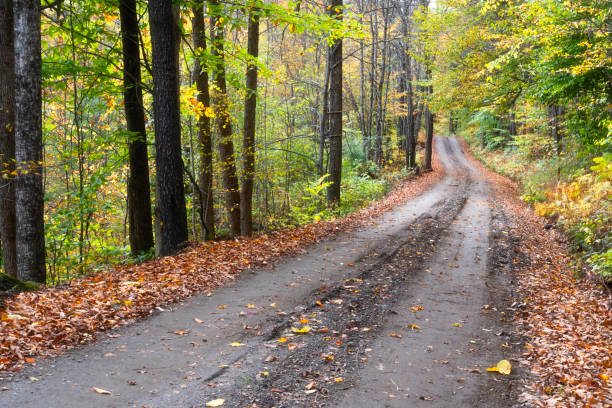 Empty rural road in a forest with Autumn trees, Pomfret rural area, Stowe, VT, US