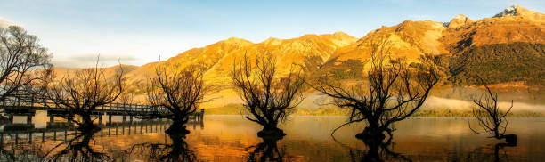 istock Panoramic view of the landmark willow trees at Glenorchy 2171576381