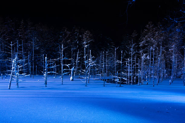 Illuminated fantastic winter blue pond in Biei