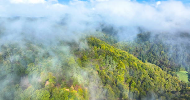 istock AERIAL: Lush autumn forest on a misty hill emerging through a layer of clouds 2171611033