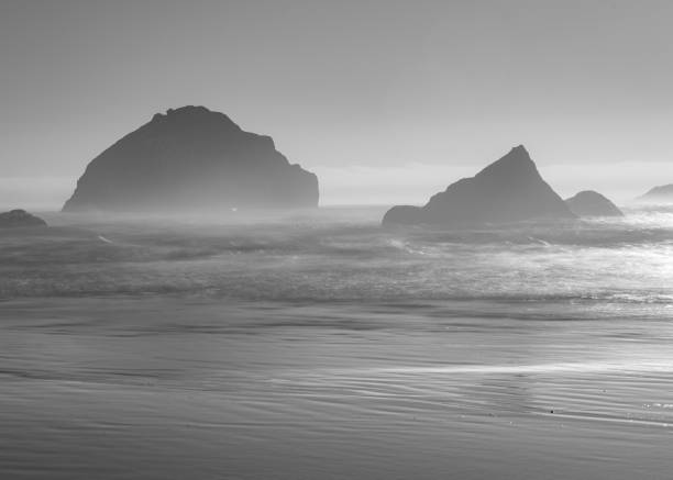istock A Famous Silhouette - Face Rock in Bandon, Oregon 2171613282