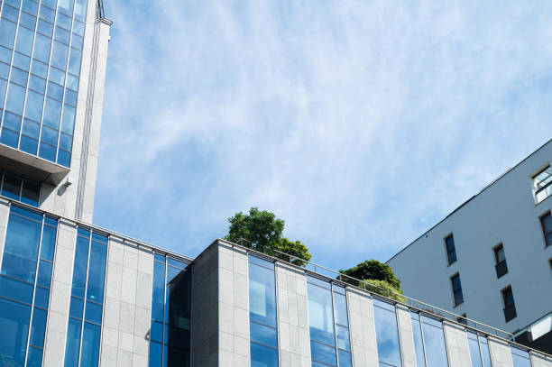 Modern office building with glass facade and trees on the rooftop. Urban architecture against a blue sky. Low-angle view
