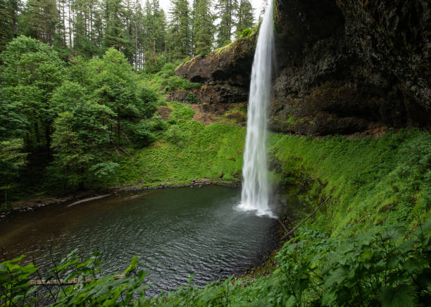 The Beauty of Silver Falls State Park