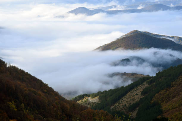 mountain kopaonik above the clouds