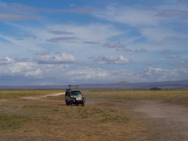 istock Animal watching in a Safari vehicle 2171615440