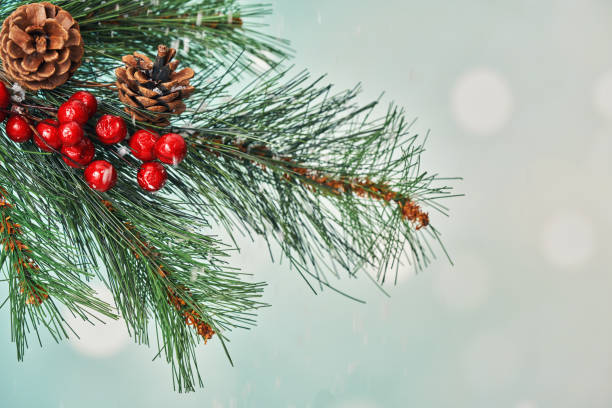 istock Christmas Decoration with Ornaments 2171615547