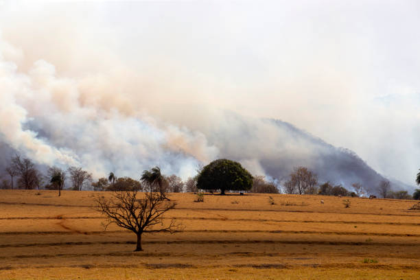 Smoke from forestfires covers the landscape of inland Brazil