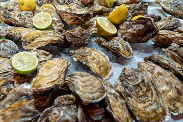 Fresh oysters on ice with lemon slices: seafood delicacy closeup