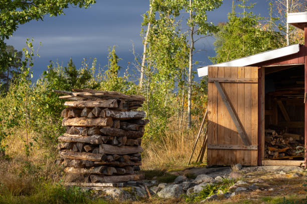 Rustic Woodpile Beside a Shed in Nature