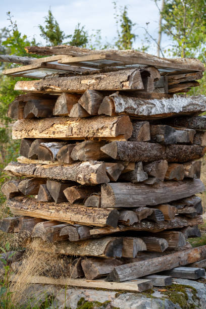 istock Neatly Stacked Firewood in Nature 2171622834