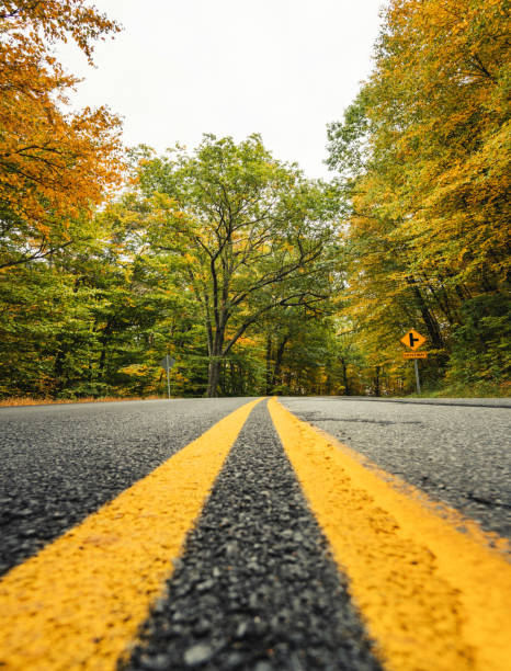 istock autumnal road in new england 2171623057
