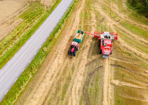 Tractor and combine harvester on a field hervesting, air photography,