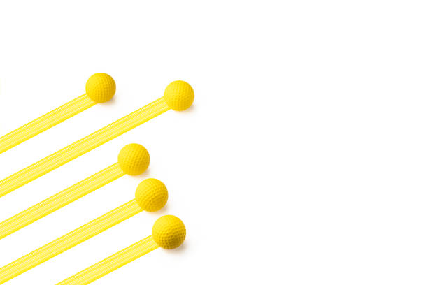 Concept showing that everyone has leadership or unique qualities within
