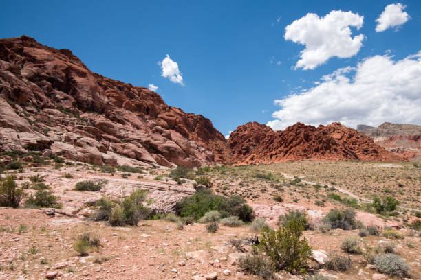 istock Calico Basin trail, Red Rock Canyon, Nevada 2171628605