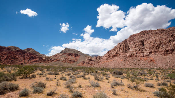 istock Calico Basin trail, Red Rock Canyon, Nevada 2171628639