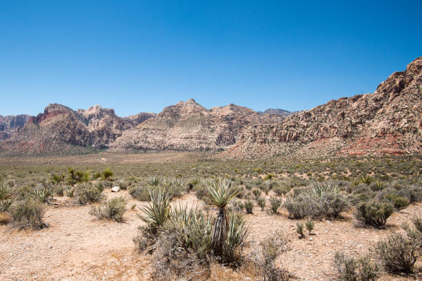 istock Red Rock Canyon Scenic Drive 2171629646