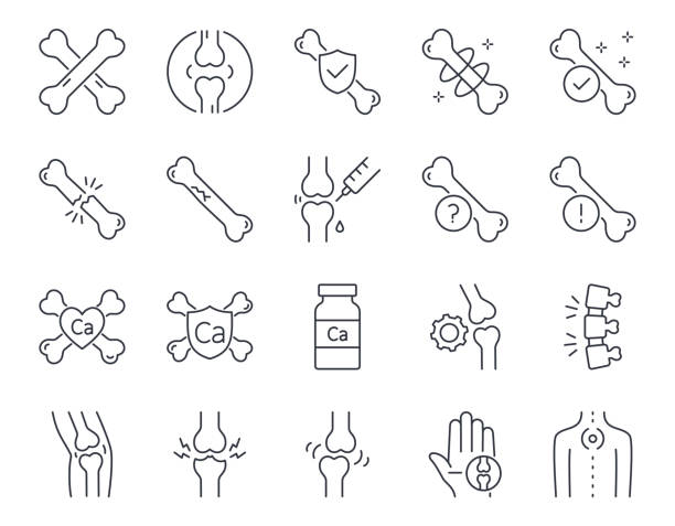 ilustrações de stock, clip art, desenhos animados e ícones de vector icons bones. human joints, knees, hands, pain in limbs. prevention of osteoporosis, taking calcium and vitamins. treatment and examination osteopathy. editable stroke thin line set symbols. - osso humano