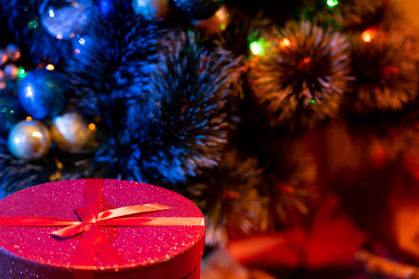 Christmas Gift Under the Christmas Tree