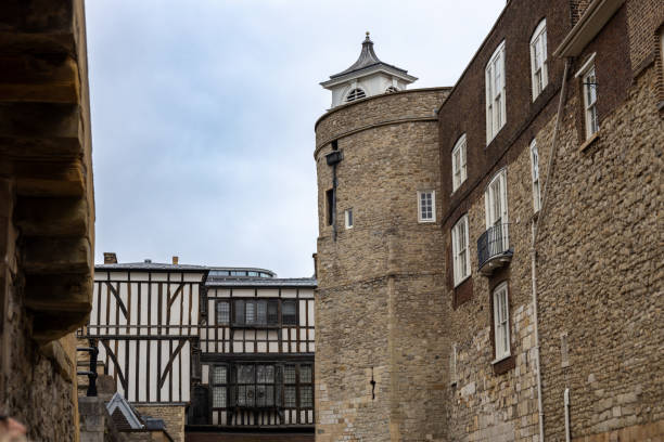 A tall stone tower stands amidst green trees in an urban area, showcasing history.