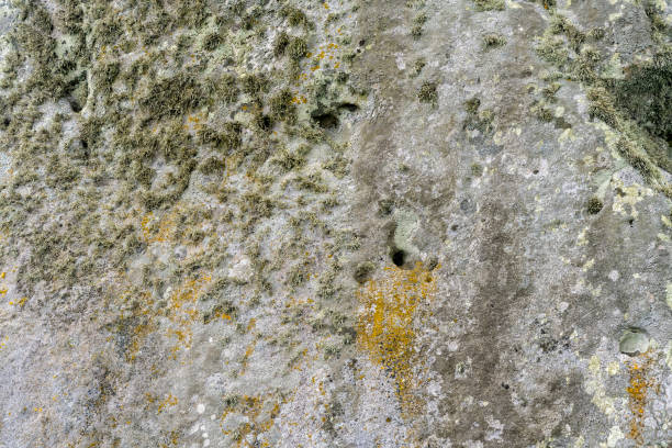 Rock texture at stonehenge, Salisbuary, England