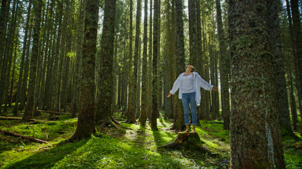 istock Joyful Female Embraces Nature on Forest Stump 2171639473
