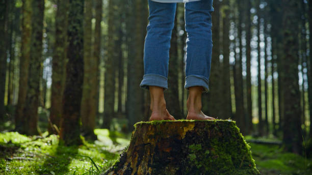 A Caucasian woman stands barefoot atop a tree stump, surrounded by a dense green forest. Her casual attire and the natural setting suggest a relaxed outdoor adventure.