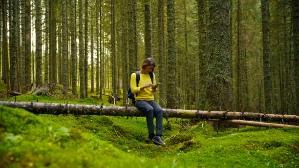 istock Outdoor Adventure: Female Hiker with Smartphone in Forest 2171639555