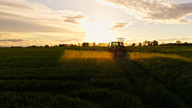 istock Tractor Fertilizing Farmland at Sunset 2171639905