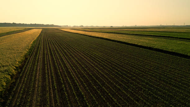 istock Sunset Over Lush Farmland 2171639907