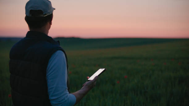 istock Caucasian Farmer Utilizing Technology in Agricultural Field 2171639962