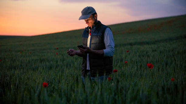 istock Tech-Savvy Farmer Checking Crop Information at Dusk 2171639972