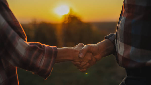 A man and woman shake hands in a vineyard, signaling a successful deal as the sun sets, evoking a warm business partnership in the serene outdoor setting.