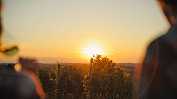 istock Caucasian Couple Savoring Wine in Vineyard at Sunset 2171640079