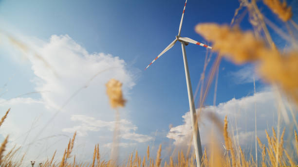 istock Renewable Energy Windmill Amidst Golden Crop Field 2171640470