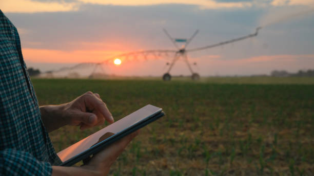 istock Caucasian Farmer with Tablet at Sundown in Corn Field 2171640783