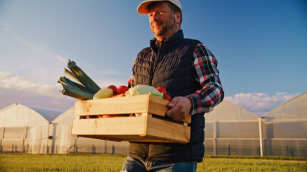 istock Mature Farmer Holding Fresh Harvest 2171641788