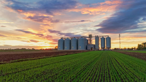 istock Sunset Over Farmland Silos 2171642171
