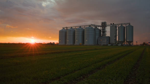 istock Sunset Over Agricultural Silo in Rural Field 2171642190