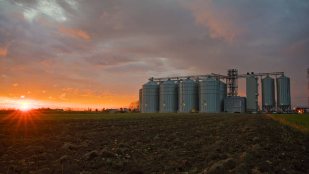istock Agricultural Storage Silo at Sunset 2171642197