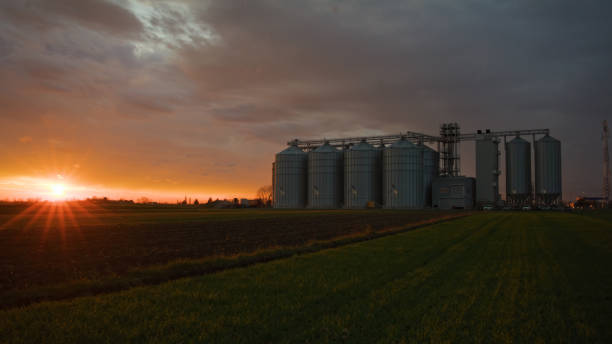 istock Agricultural Silo at Sunset in Farm Field 2171642198