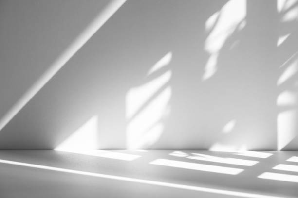 istock Studio style background wall decoration presentation uses white tones. with shadows cast from a nearby window, concept creating a decorative backdrop. 2171644931