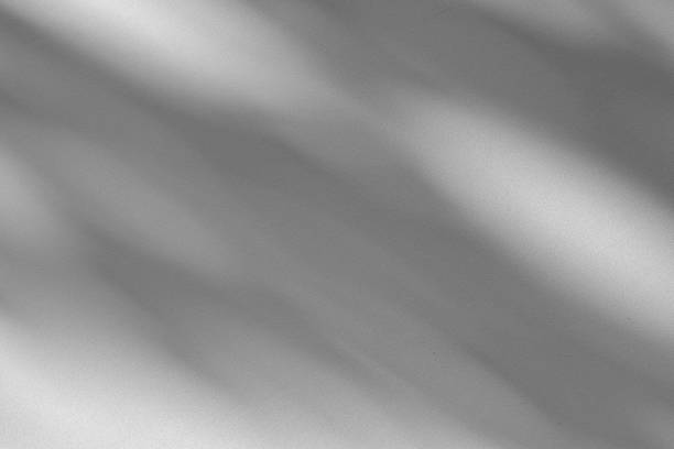 istock Studio style background wall decoration presentation uses white tones. with shadows cast from a nearby window, concept creating a decorative backdrop. 2171644967