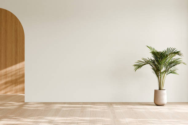 Minimalist room with a potted plant and arched doorway. 3d render.