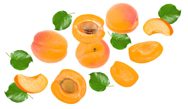 istock apricot fruits with green leaf isolated on white background. clipping path 2171653774