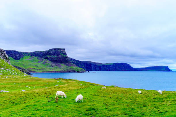 istock Neist Point, the Isle of Skye 2171656045