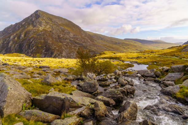 istock Landscape and footpath, in Snowdonia National Park 2171656719