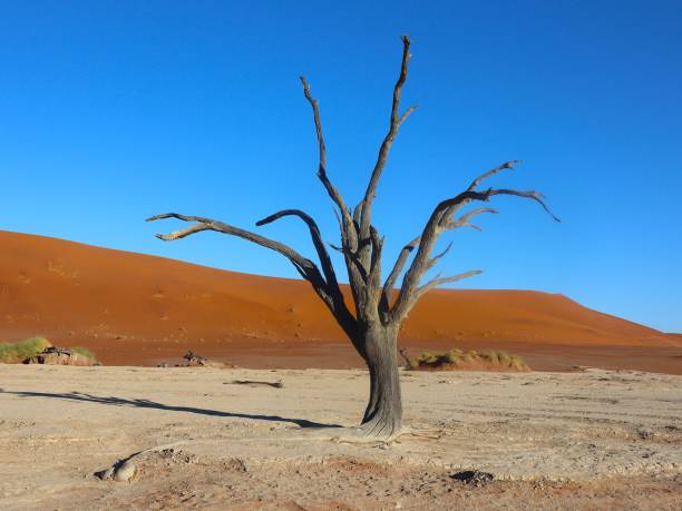 African landscape with red mountains, Damaraland, Namibia