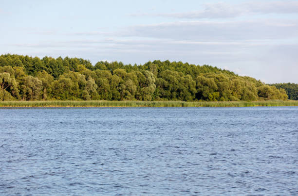 Green trees on the horizon on the lake shore.